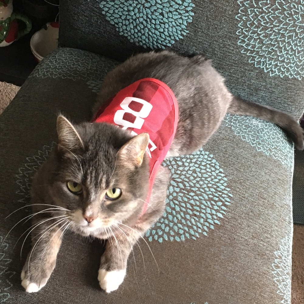 Meet your Posher, David